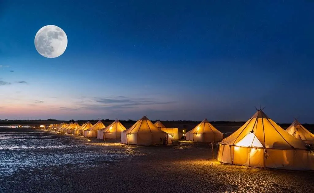 Kutch Full Moon Tour tour from Ahmedabad